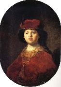 Portrait of a Boy Rembrandt